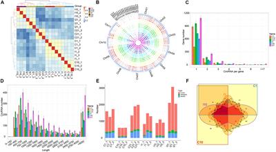 Comprehensive Identification and Expression Profiling of Circular RNAs During Nodule Development in Phaseolus vulgaris